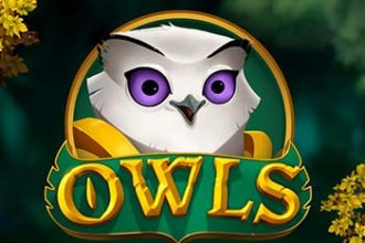 Owls
