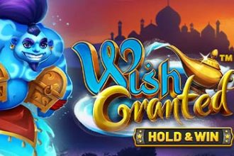 Wish Granted